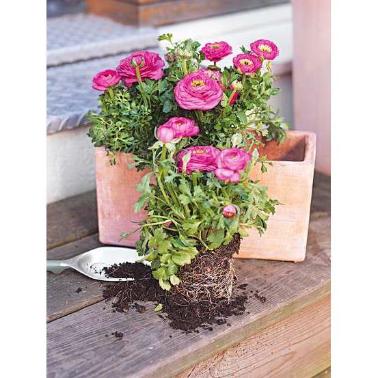 Jardinière contemporaine en terre cuite - 29x14x14cm