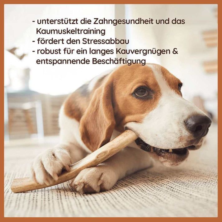 WILDFANG® Damhirsch Geweih-Kaustab