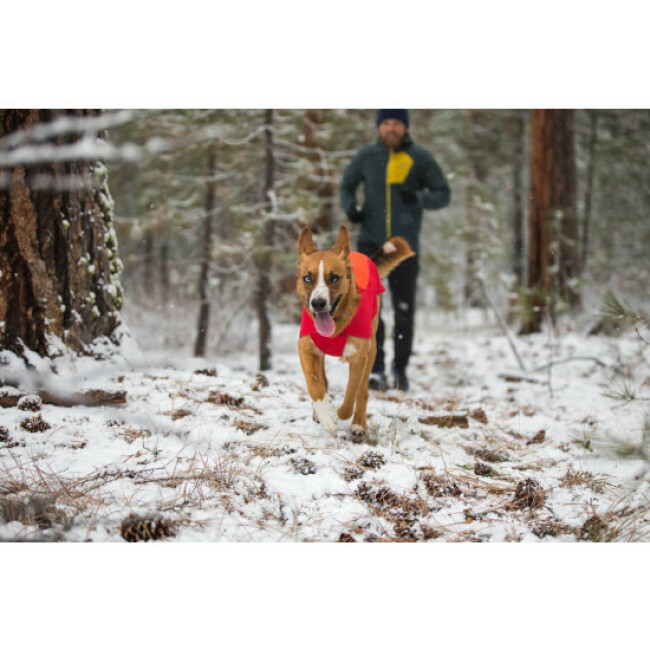 Coupe-vent pour chien Ruffwear