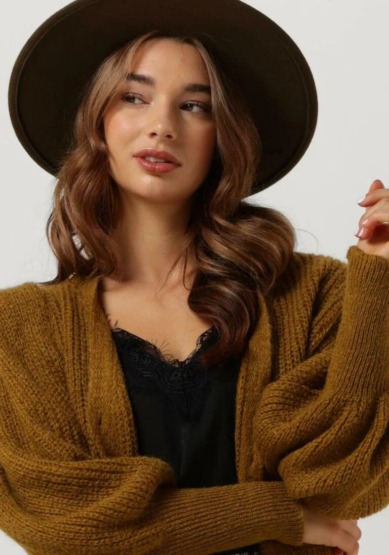 FREEBIRD gele freebird trui lavie cardigan