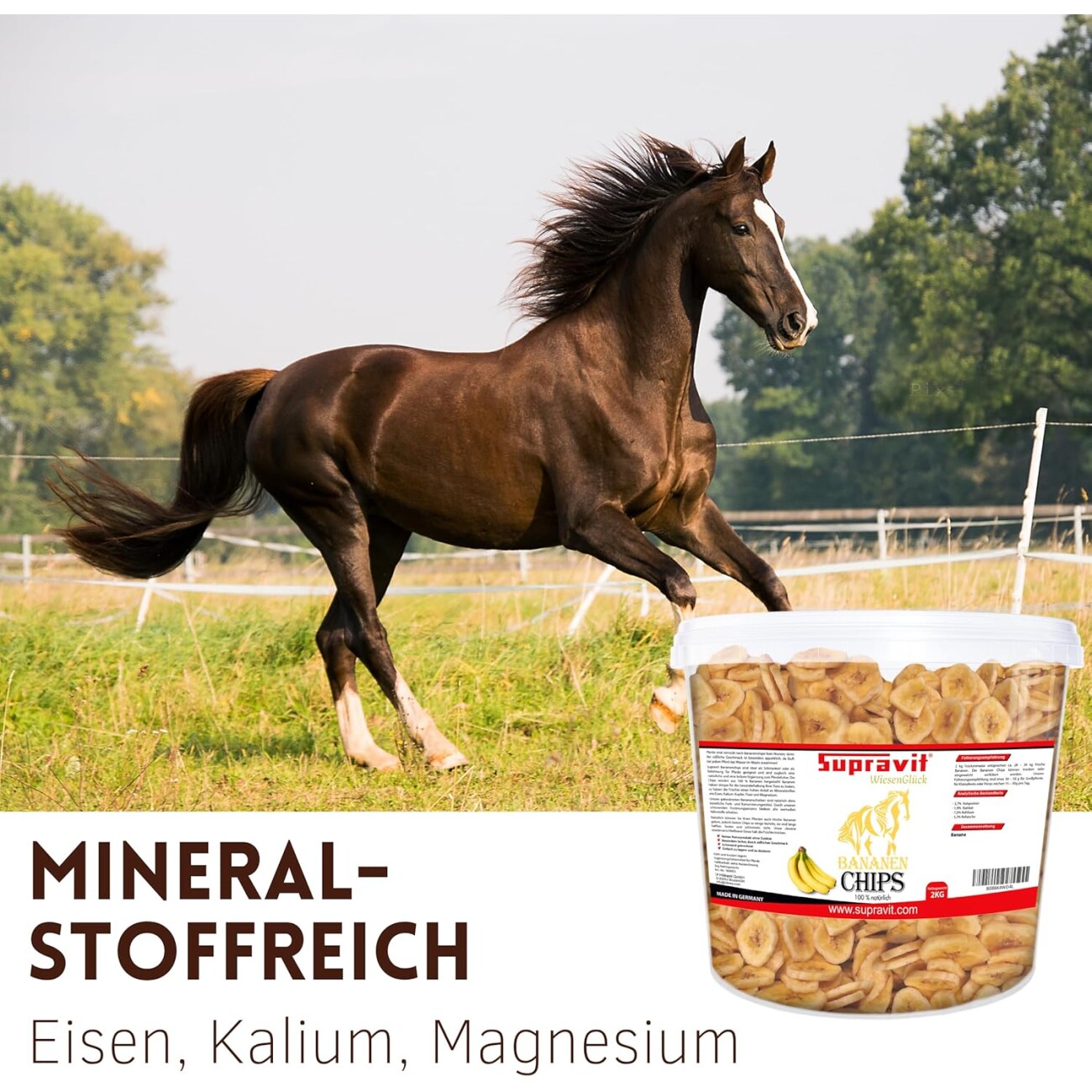Supravit Bananenchips 2kg Eimer Pferdeleckerli
