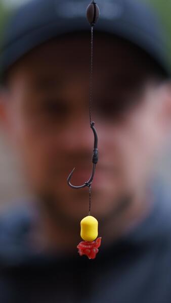 Pack d'Appâts Tactic Carp Instant Maggot Pack