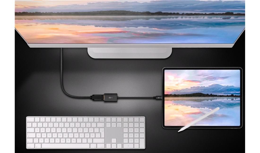 USB-C til DisplayPort Adapter