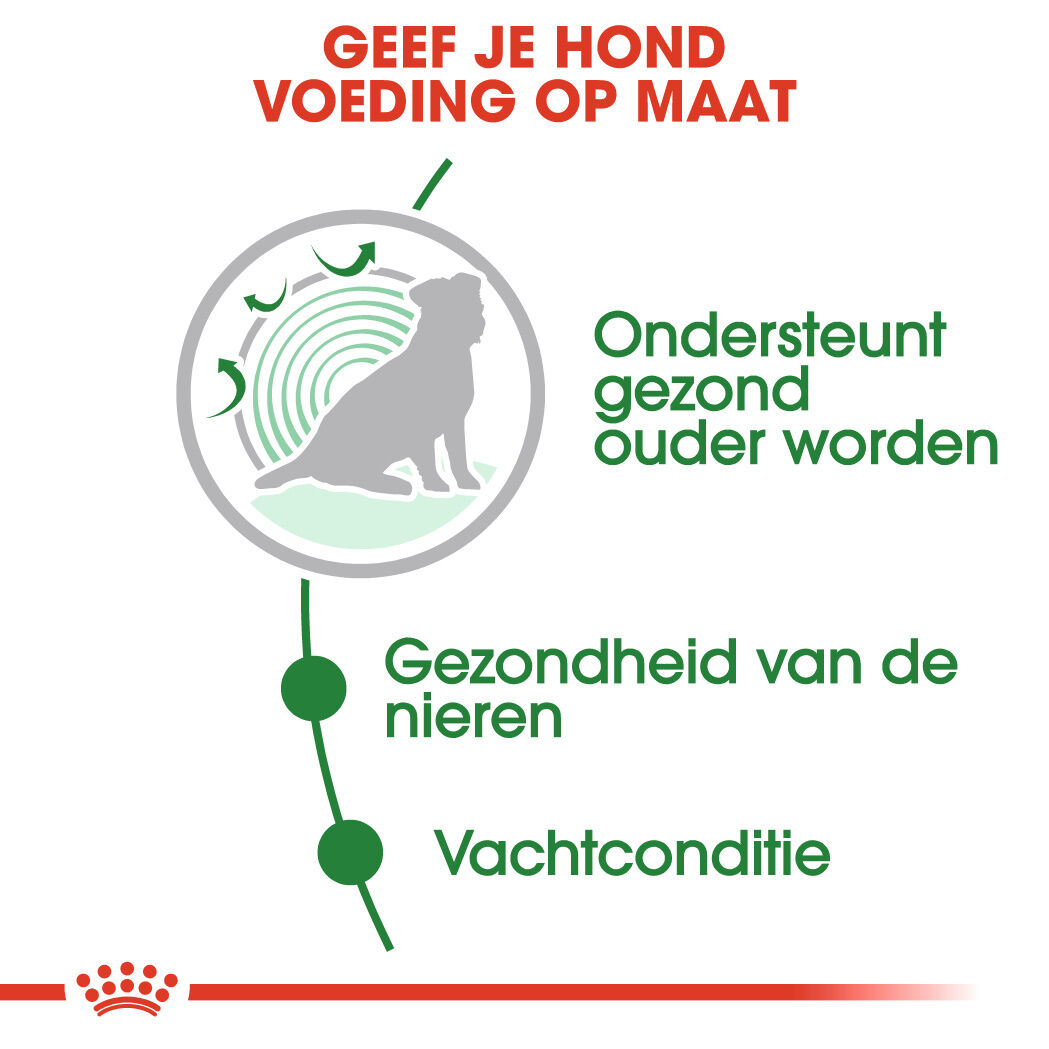 Royal Canin Mini Ageing - Hondenvoer - 1020 Gram - gevogelte