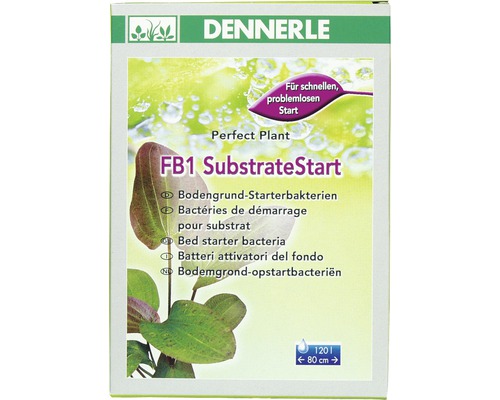 DENNERLE FB1 SubstrateStart filterbacteriën 50 g