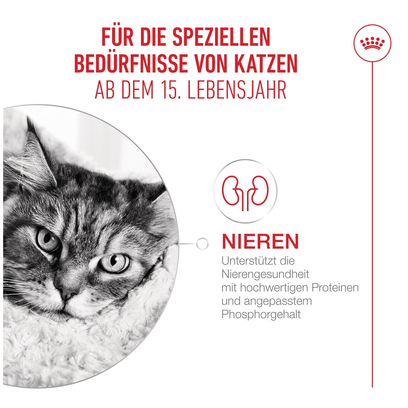 ROYAL CANIN Nassfutter Katze, Senior Agening 15+, Sauce 12x85 g