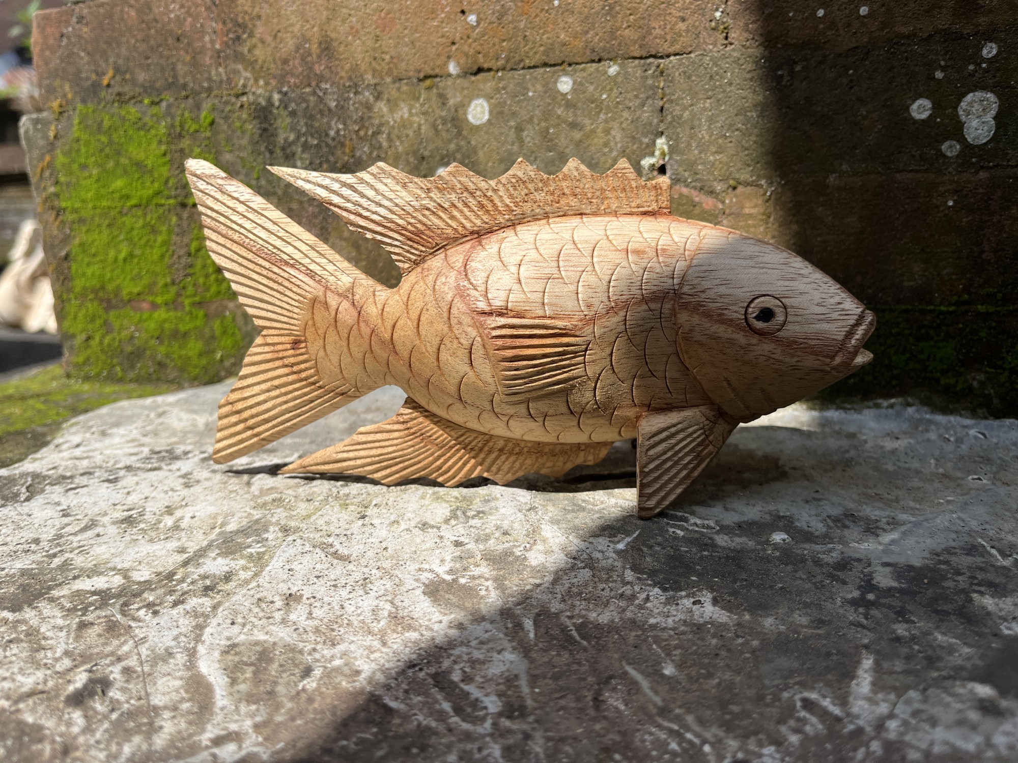 Figur 'Fisch', aus Suarholz, B 20 cm, H 10 cm, L 6 cm von fischer's lagerhaus