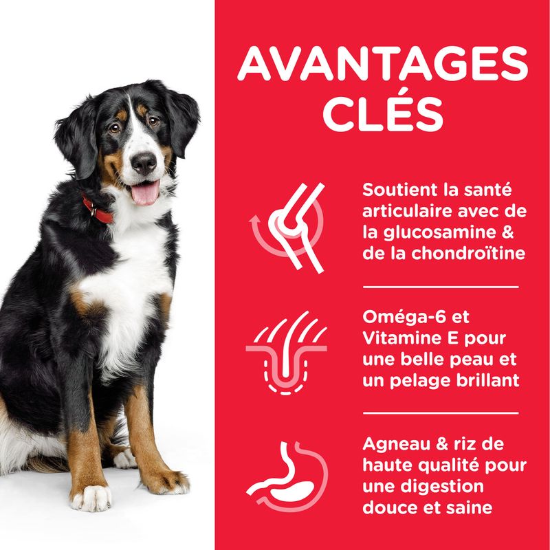 Hill's Science Plan Adult 1-5 Large agneau, riz sur bitiba.fr