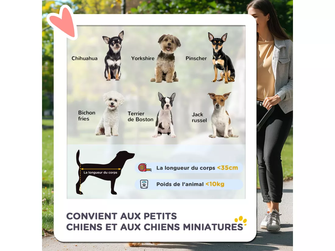 Poussette buggy pliable animaux chariot pliant chien chat porte-gobelet panier de rangement inclus roues avec frein tissu 600D Oxford métal gris