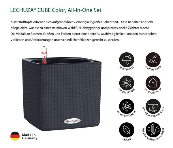 LECHUZA® CUBE Color, All-in-One Set