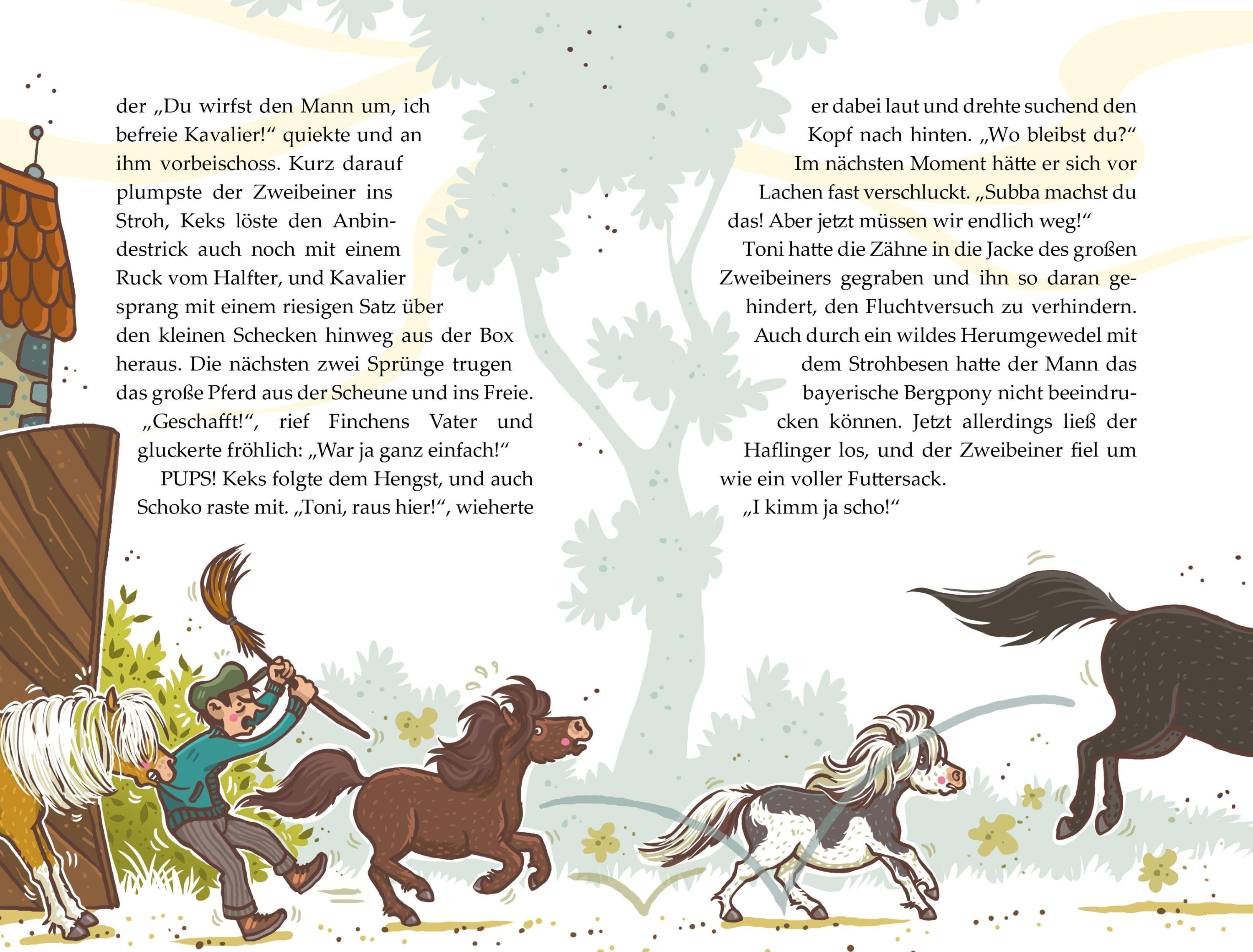 Mit allen Ponywassern gewaschen / Die Haferhorde Bd.20
