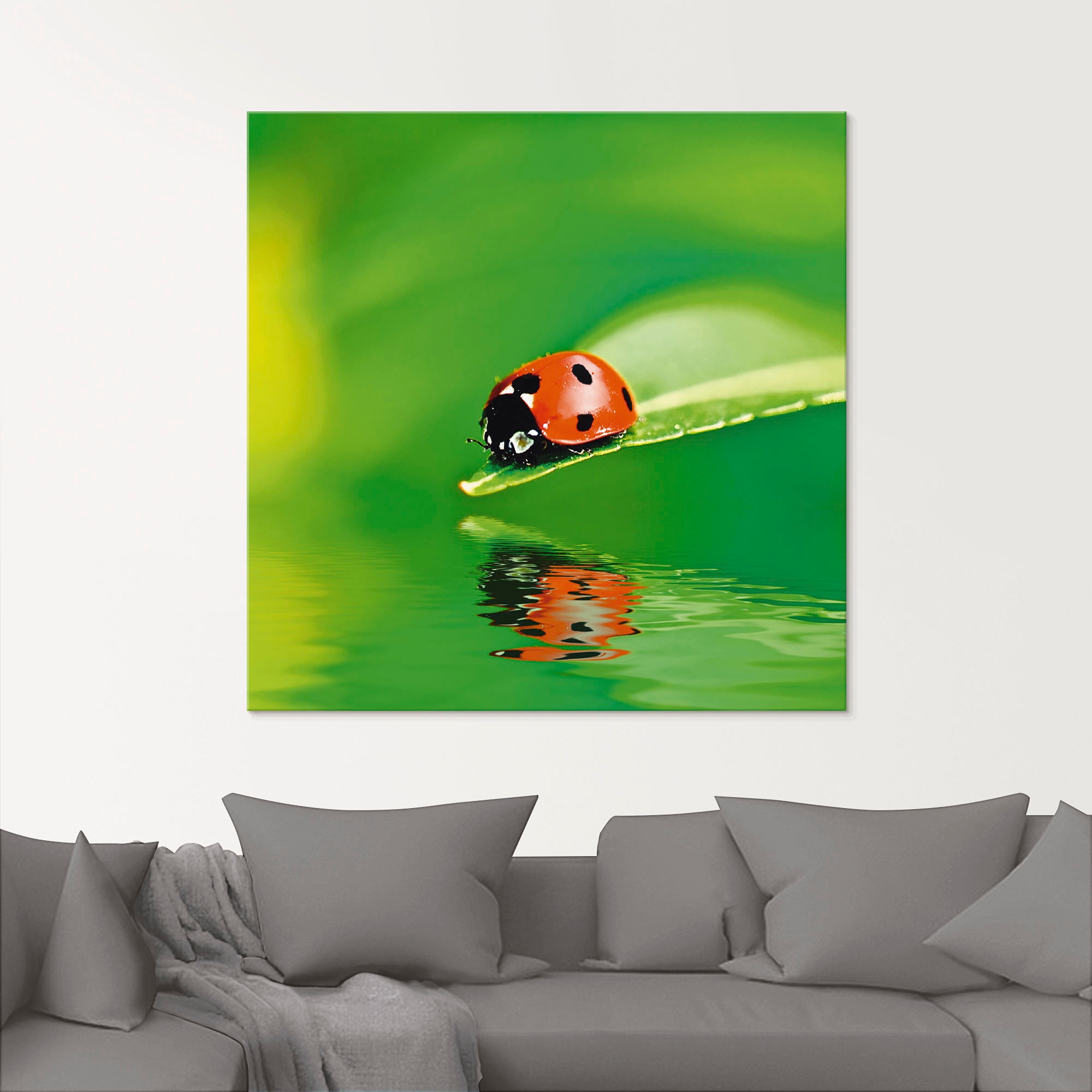 Artland Glasbild »Marienkäfer auf einem Blatt« Insekten 1 Stk. tlg. in verschiedenen Grössen