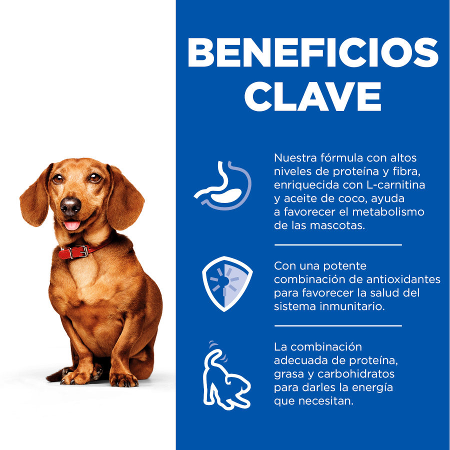 Hill's Science Plan Adult Small & Mini Perfect Weight Mousse de Pavão lata para cães