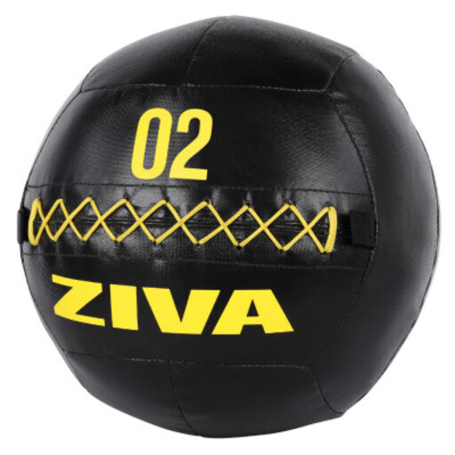 Bola de parede Ziva Performance 2 kg