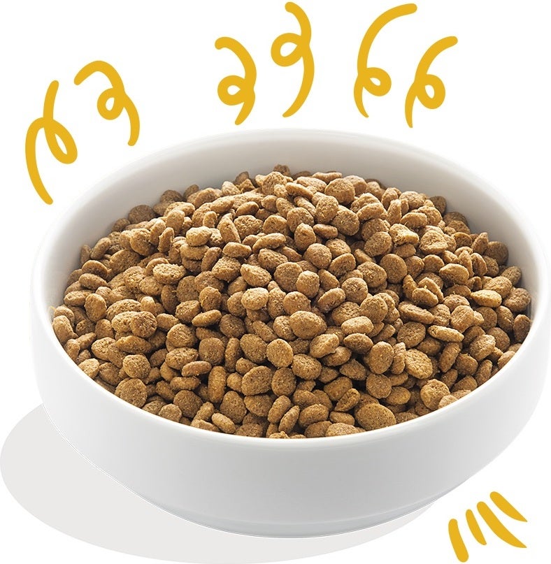 Edgard & Cooper hondenvoer Bio kalkoen en kip adult 700 g