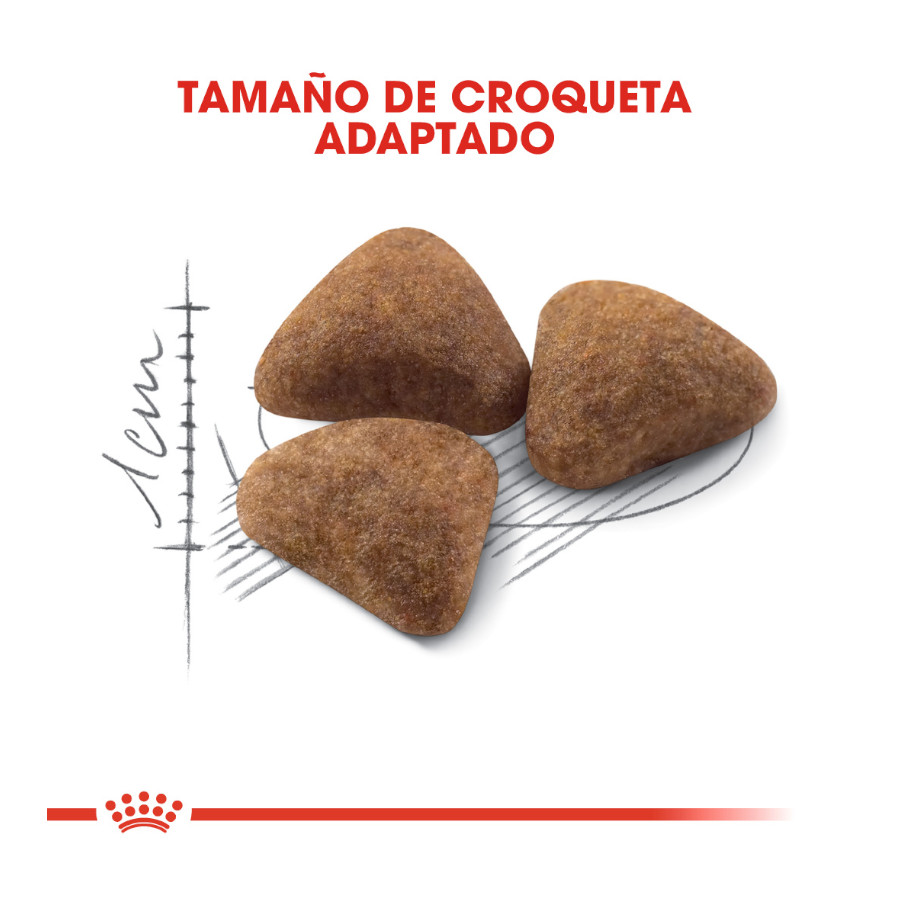Ração para gatos Royal Canin Home Life Indoor 27