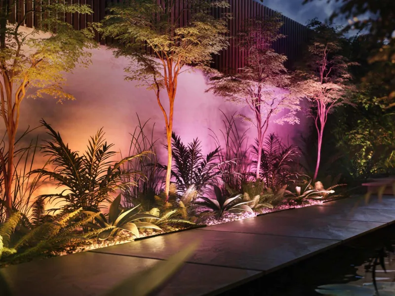 Philips Hue White and Color Ambiance Amarant - Lysbarre - LED - 20 W (tilsvarende 104 W) - 16 millioner farver - 2000-6500 K - sort