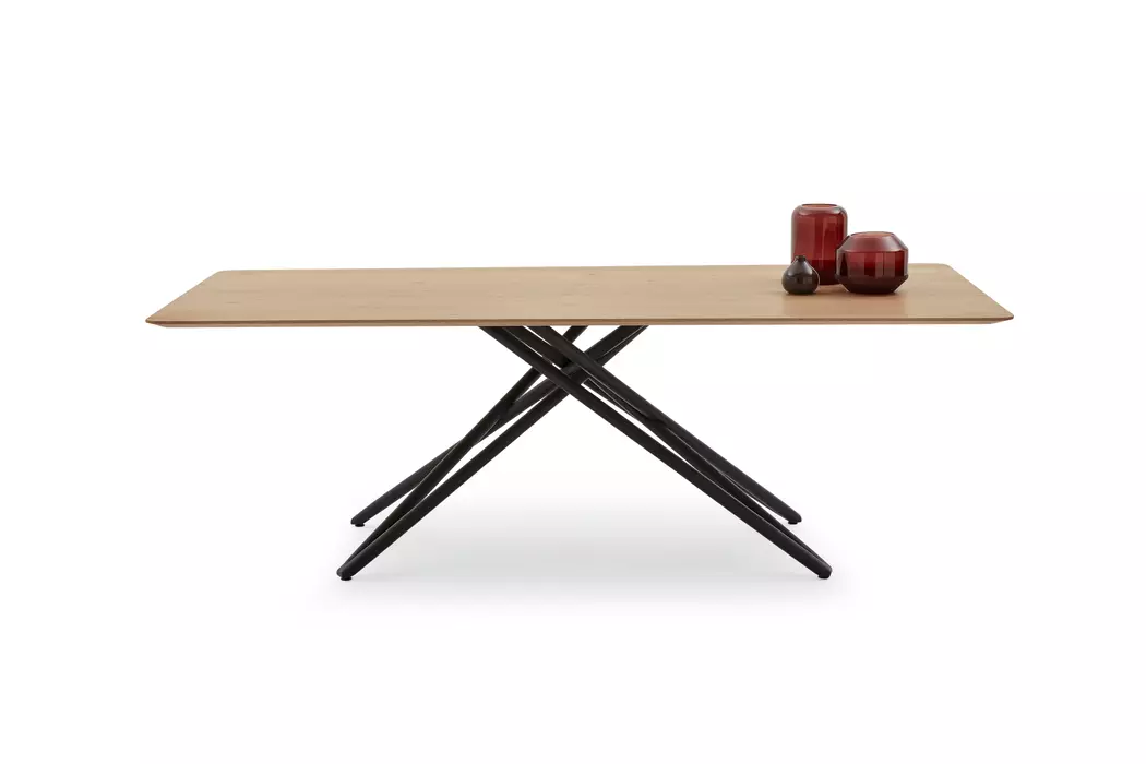 Esstisch Helmond 220 x 100cm