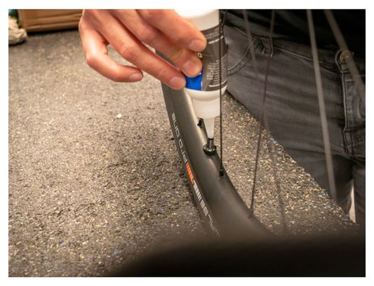 Paire de Valves Schwalbe Tubeless Noir