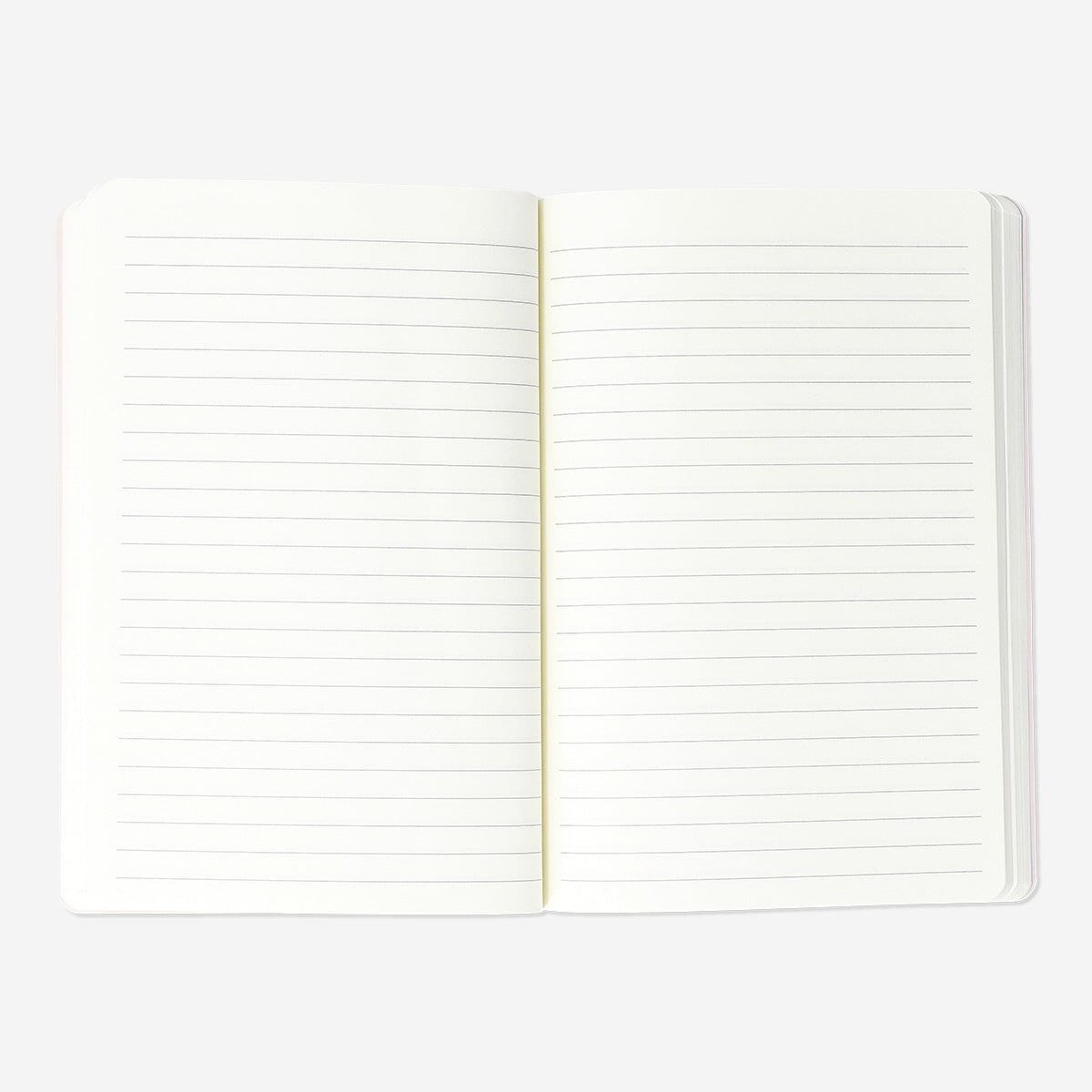 Skulpteret notesbog