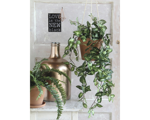 Kunstplant Paarse Pothos Syngnoium H 15 cm