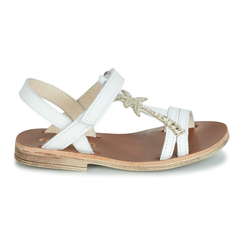 GBB - SAPELA - Blanc / Doré