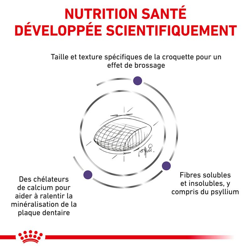 Royal Canin Expert Dental