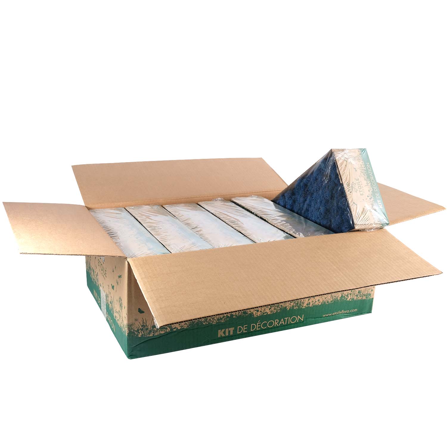 Lic/0586 lichen stabilisée bleu azur w-box 0,5 kg