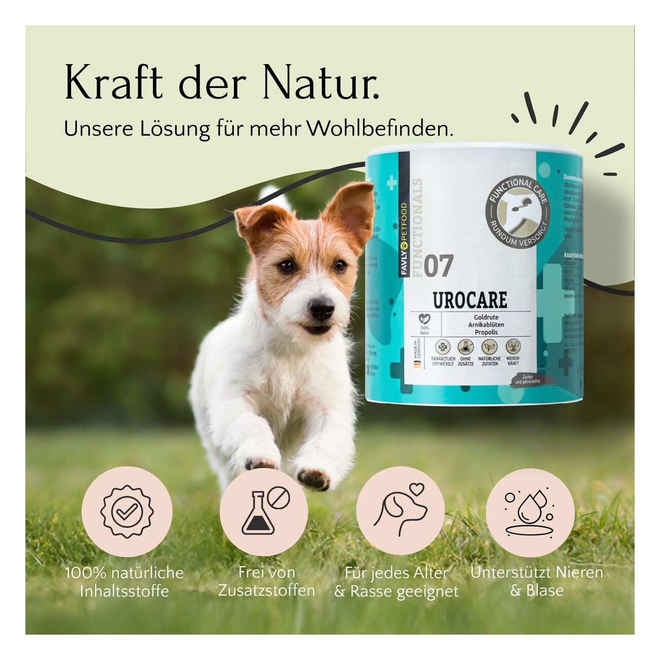 FAVLY Petfood UROCARE - Niere & Blase 250 g