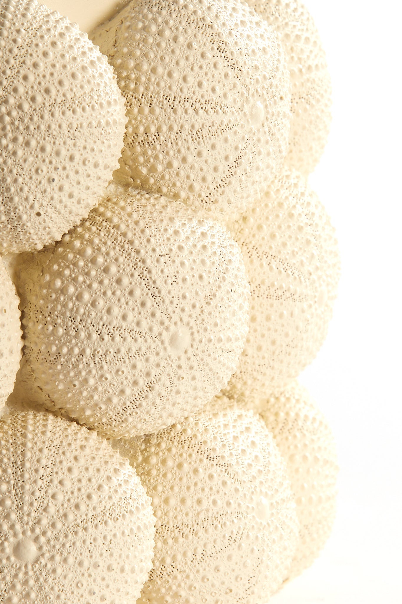 Light & Living - Vaas SEA URCHIN - Ã19x32.5cm - Wit