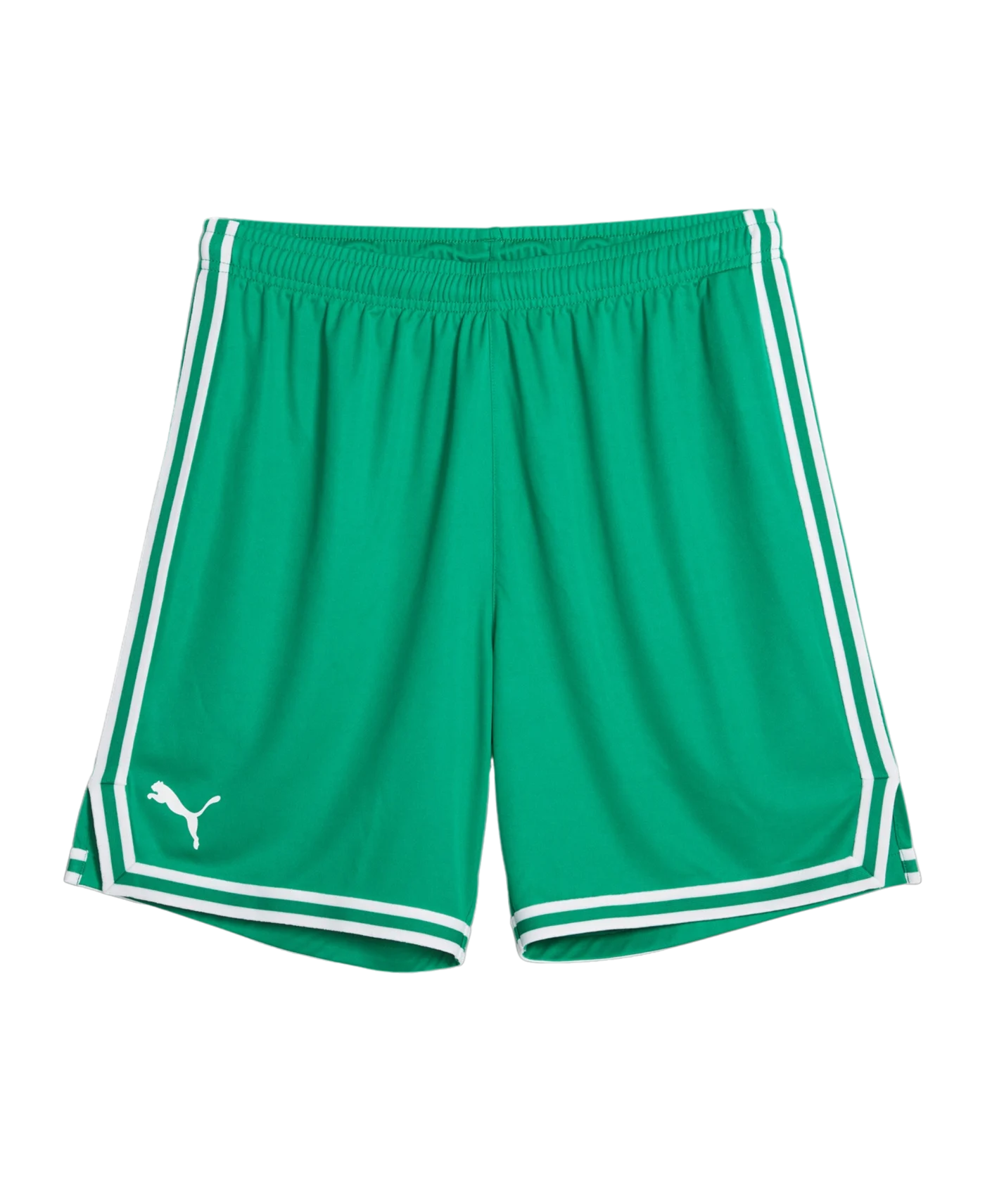 PUMA Hoops Team Game Short Grün F06