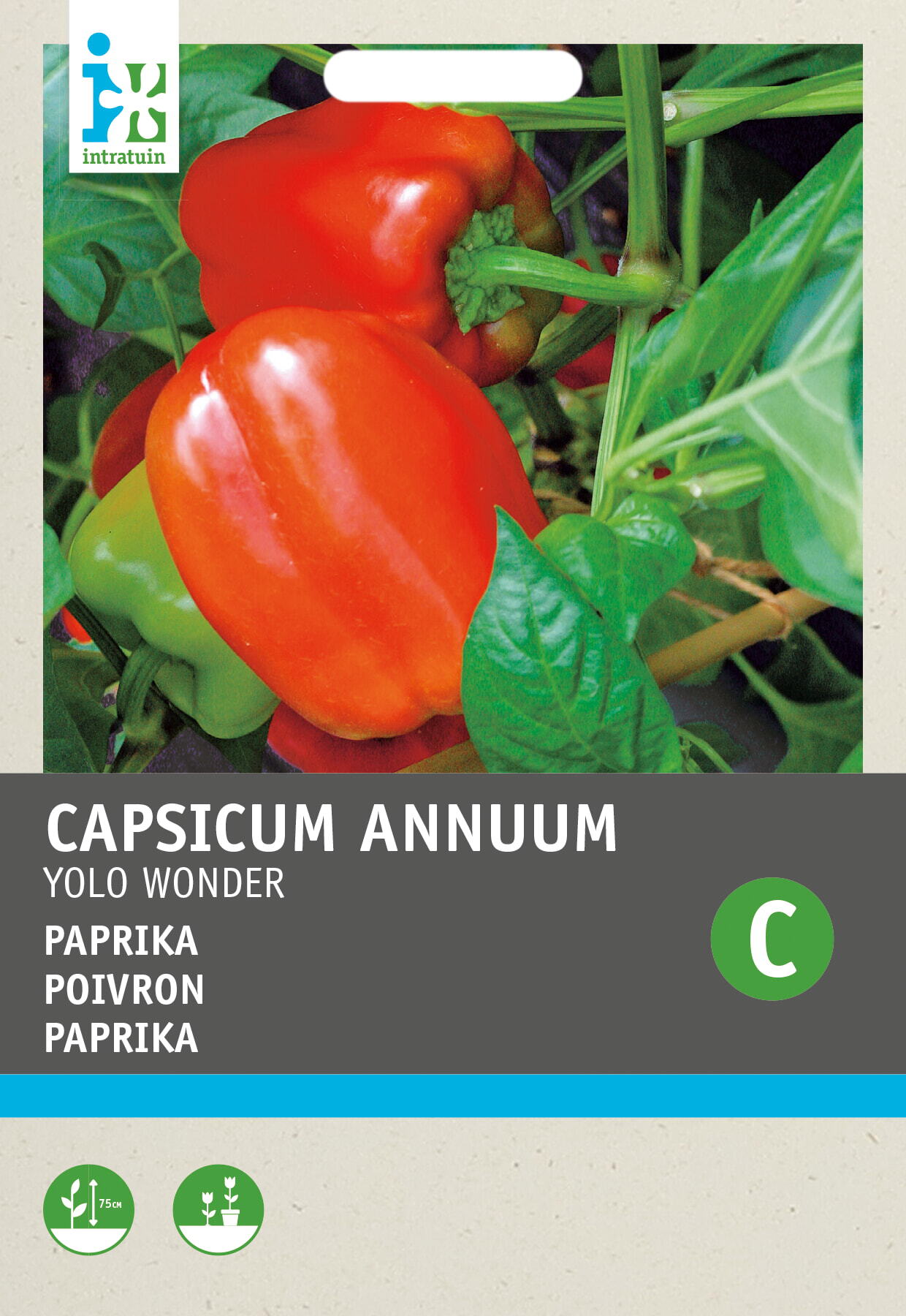 Intratuin groentezaad Paprika (Capsicum annuum 'Yolo Wonder')