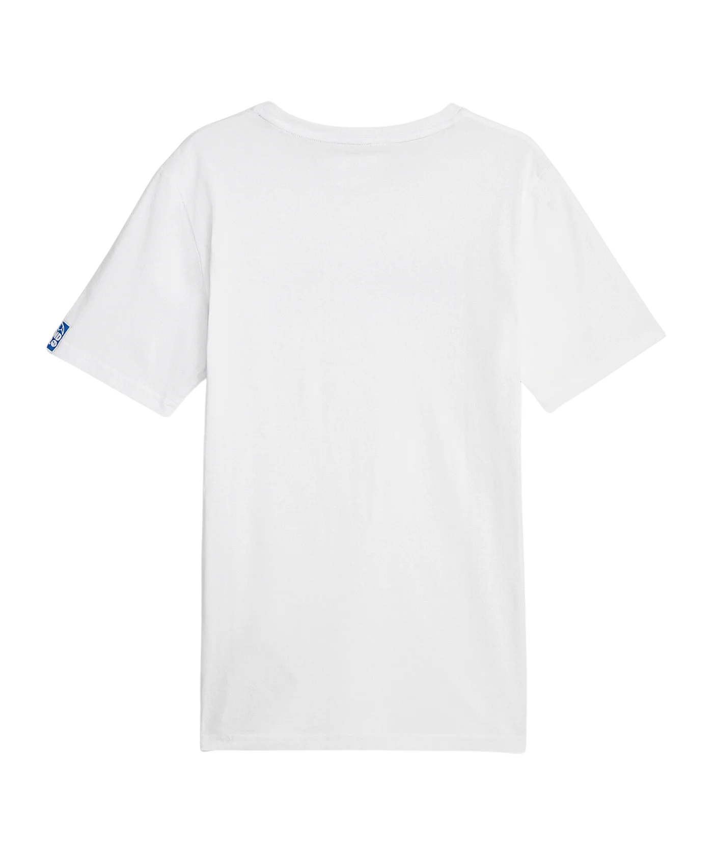 PUMA Handball T-Shirt Weiss F07