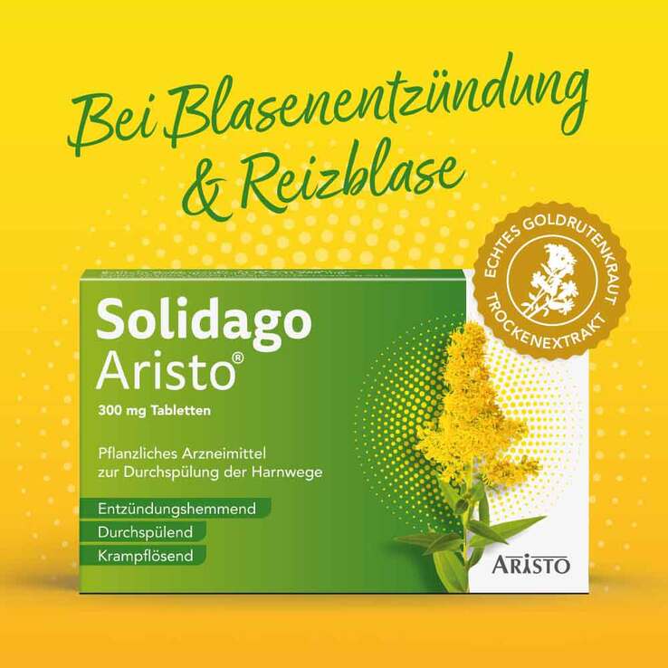 Solidago Aristo 300 mg Tabletten, 100 St