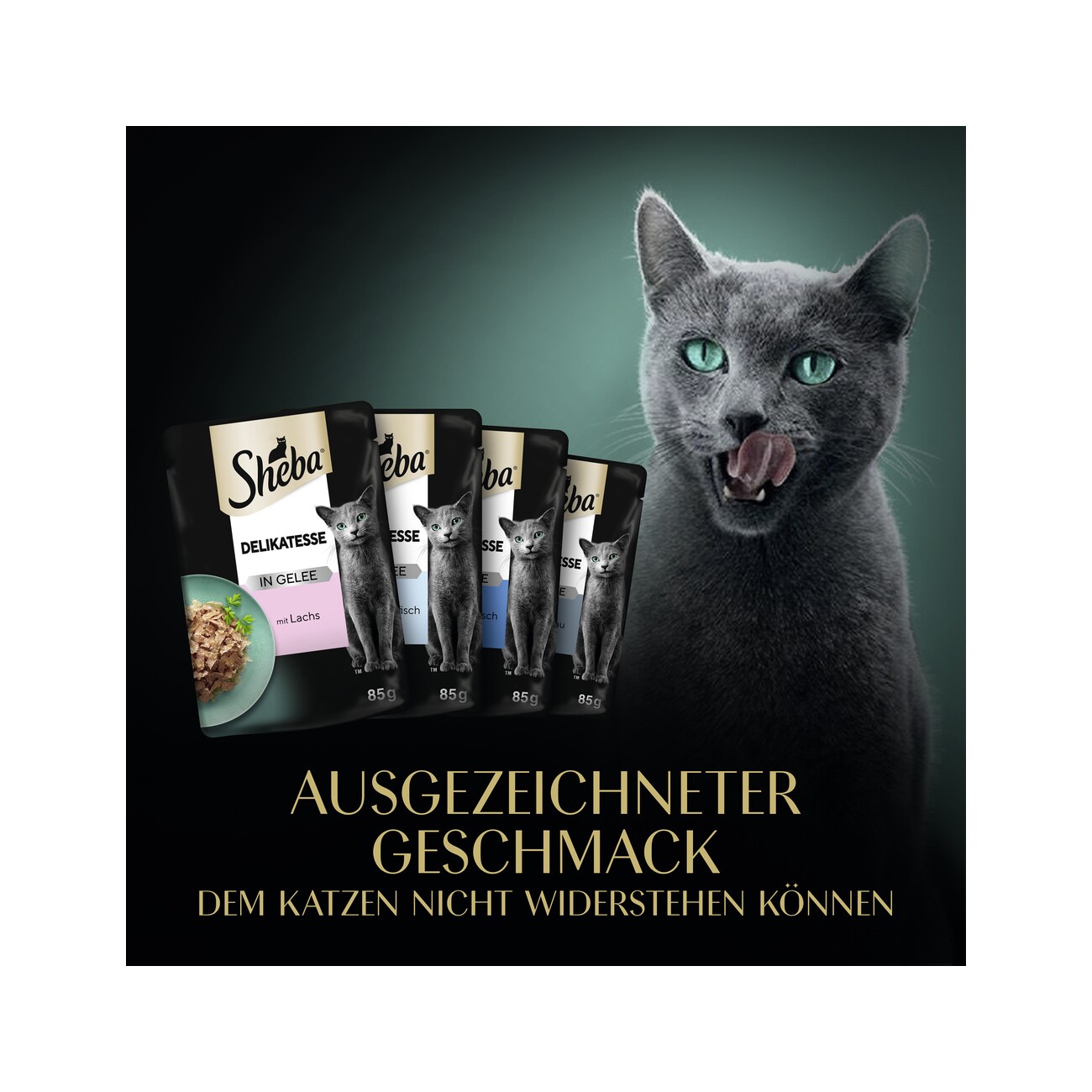 Sheba Delikatesse in Gelee 60x85g