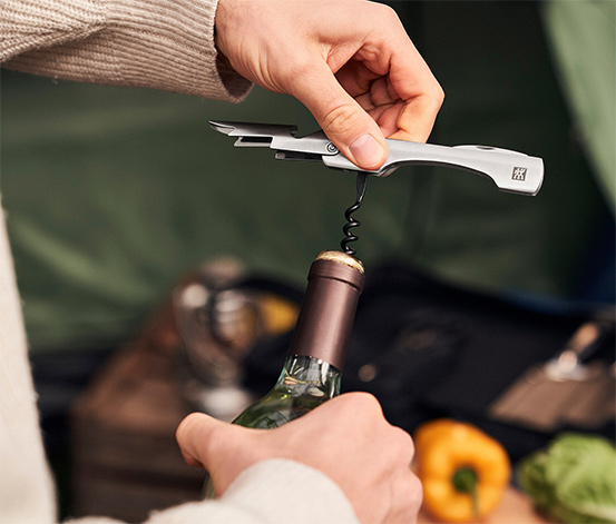 ZWILLING Messer-Traveller-Set