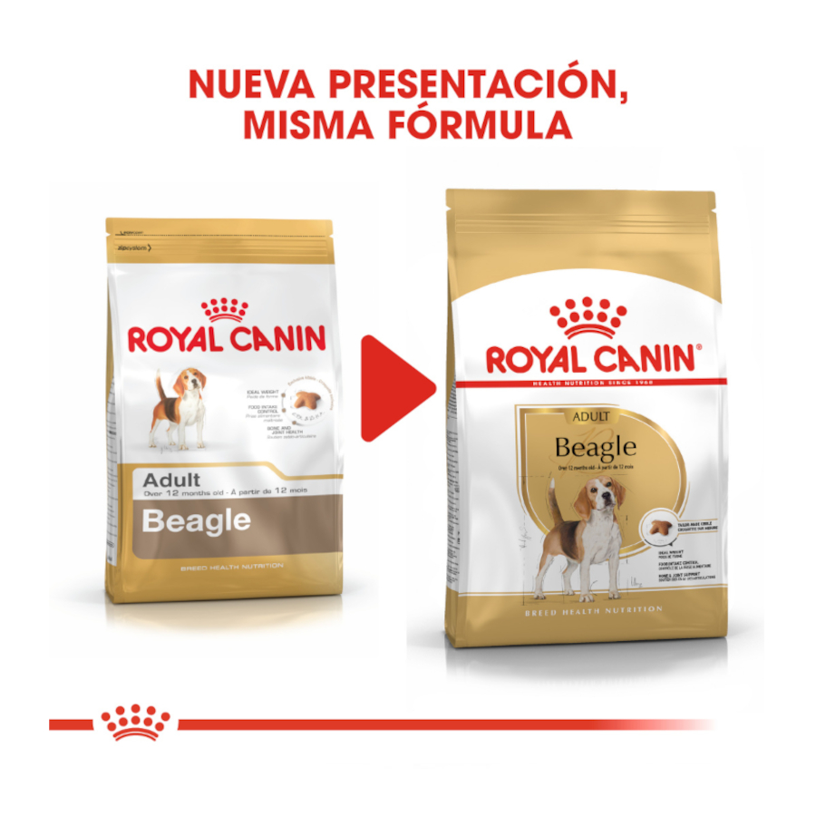 Ração Royal Canin para cães da raça Beagle adulto