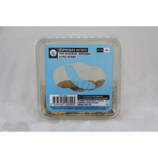 Zophobas Morios pour alimentation reptiles, 50 gr