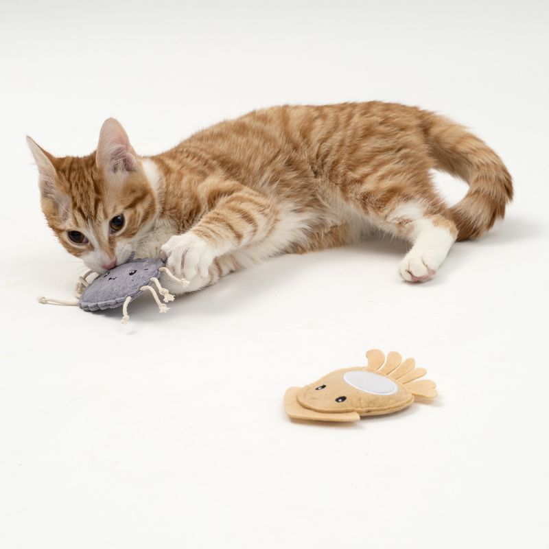 Lot de jouets TIAKI Ocean Gang avec menthe à chat
