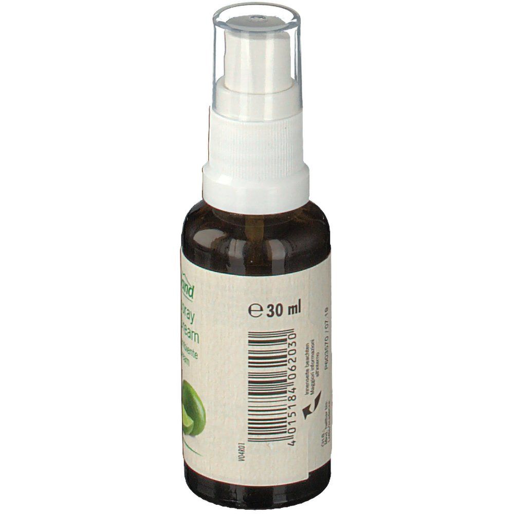 Bergland Raumspray Citrus Dream