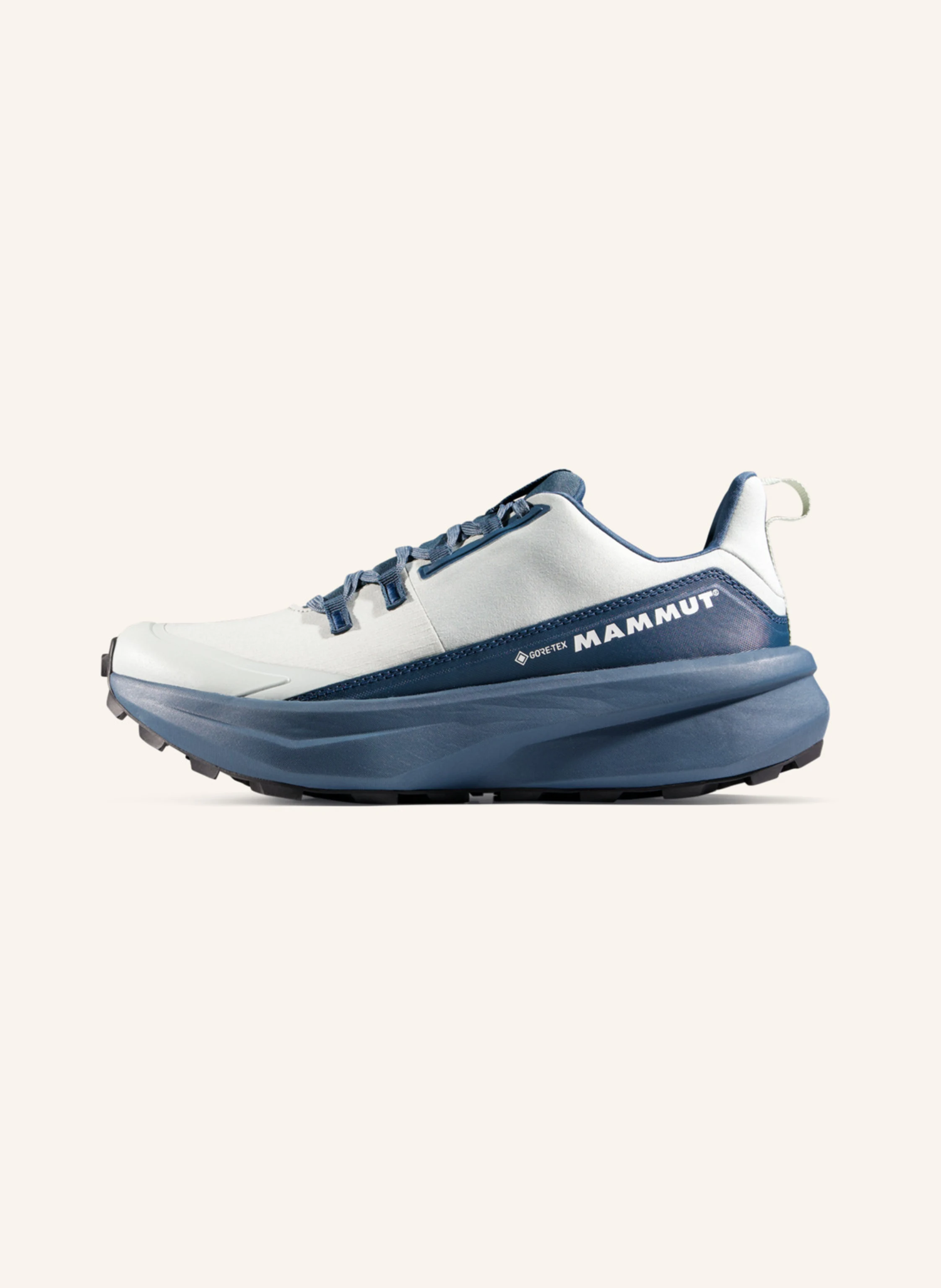 MAMMUT Mammut Aenergy Hike Low GTX Women
