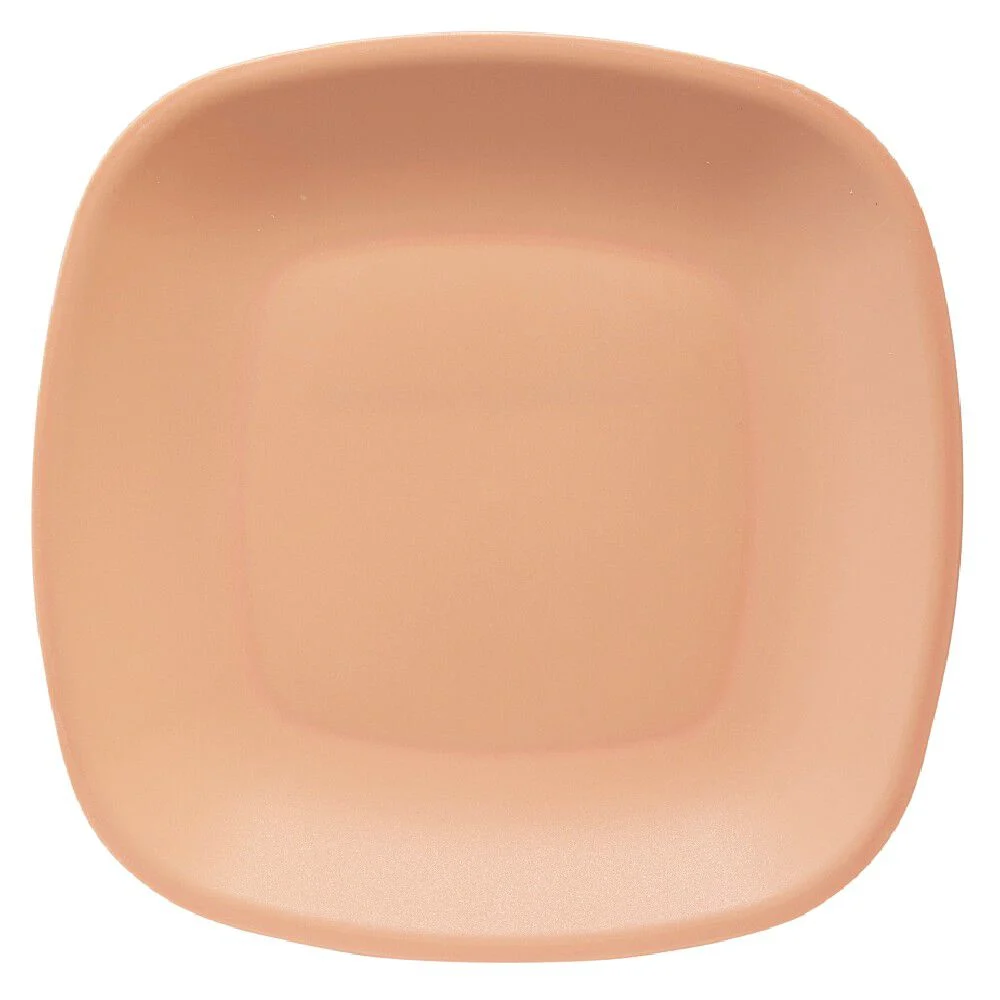 Lot de 3 assiettes colorées en plastique rigide