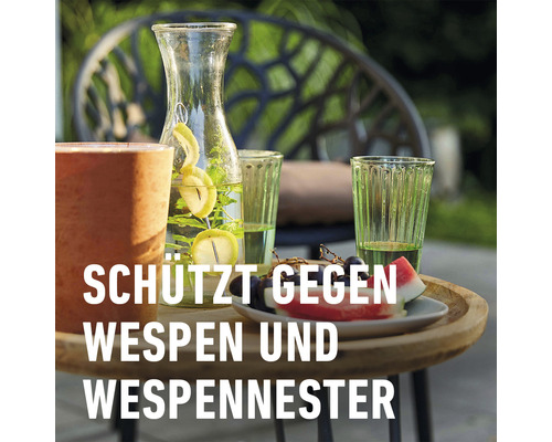 Wespenschuim-gelspray COMPO 500 ml