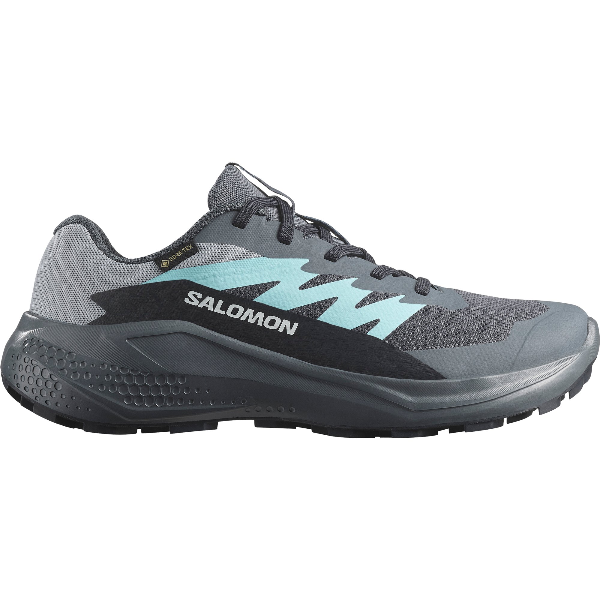 Salomon Trailrunningschuh »ALPHAGLIDE GORE-TEX W«  wasserdicht
