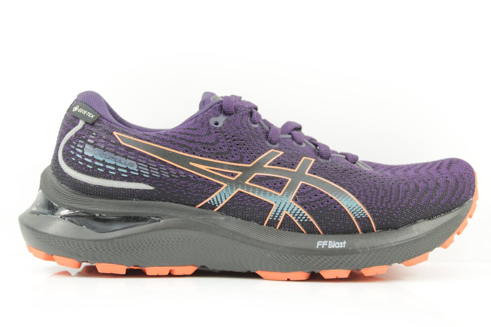 Asics Gel Cumulus 24 GTX
