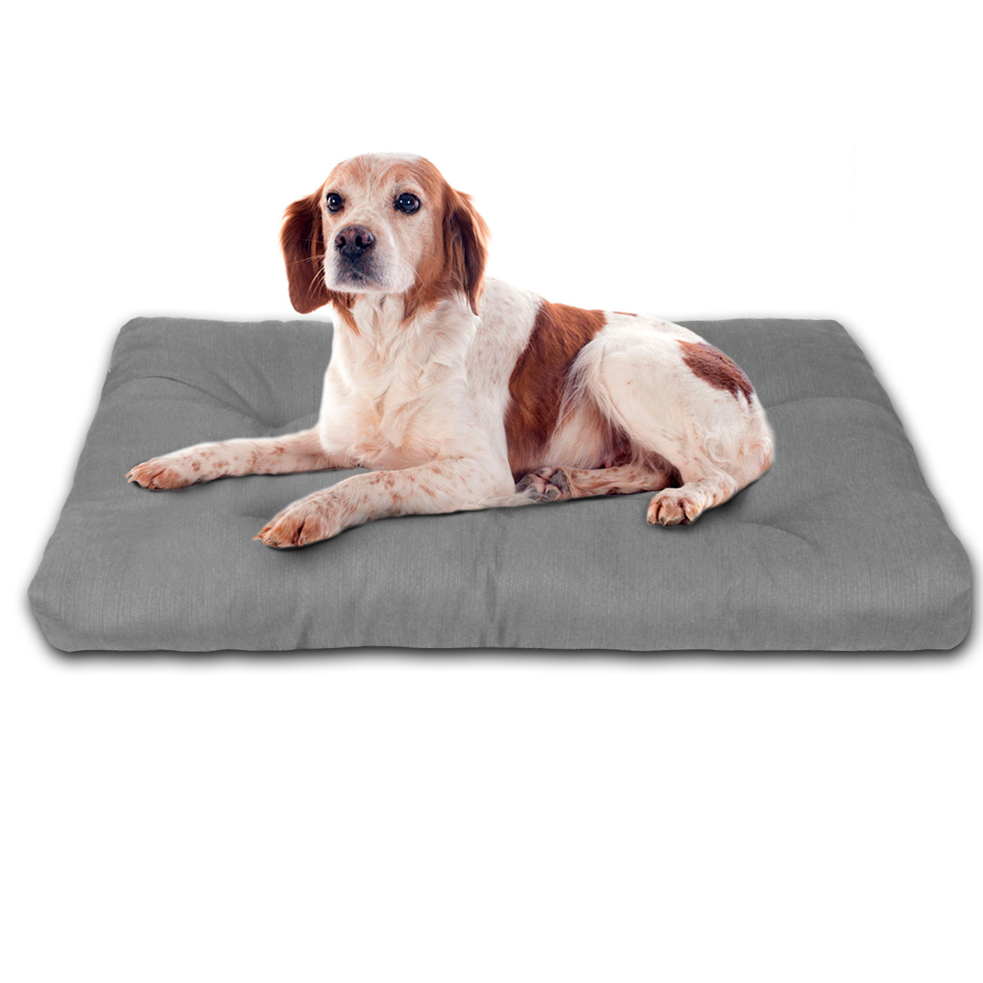 HOME MERCURY - Cama para animais de estimação, colchão para cães, tapete reversível estampado com enchimento de espuma para uso interno e externo. (Médio, Cinza)