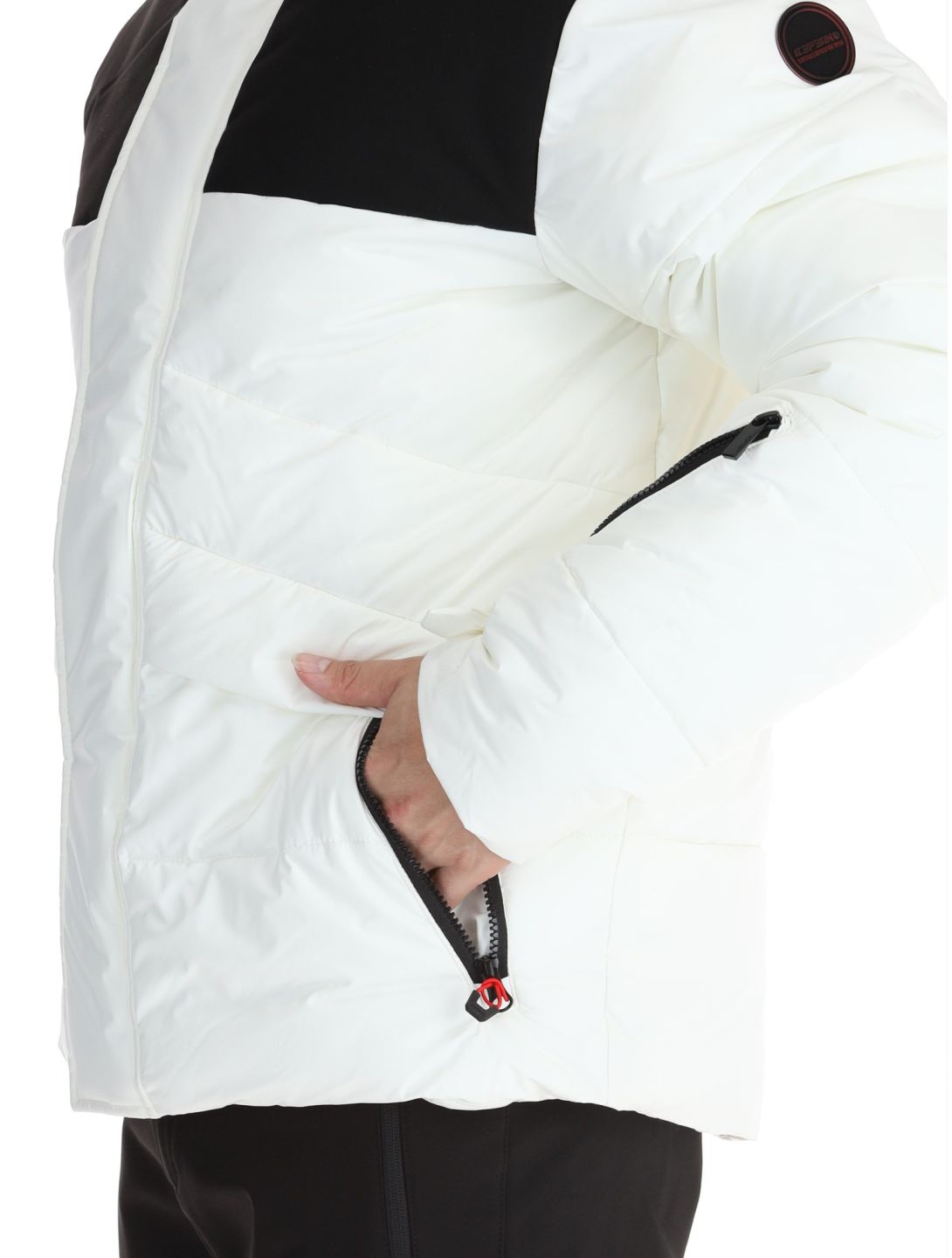 Evarts ski-jas heren