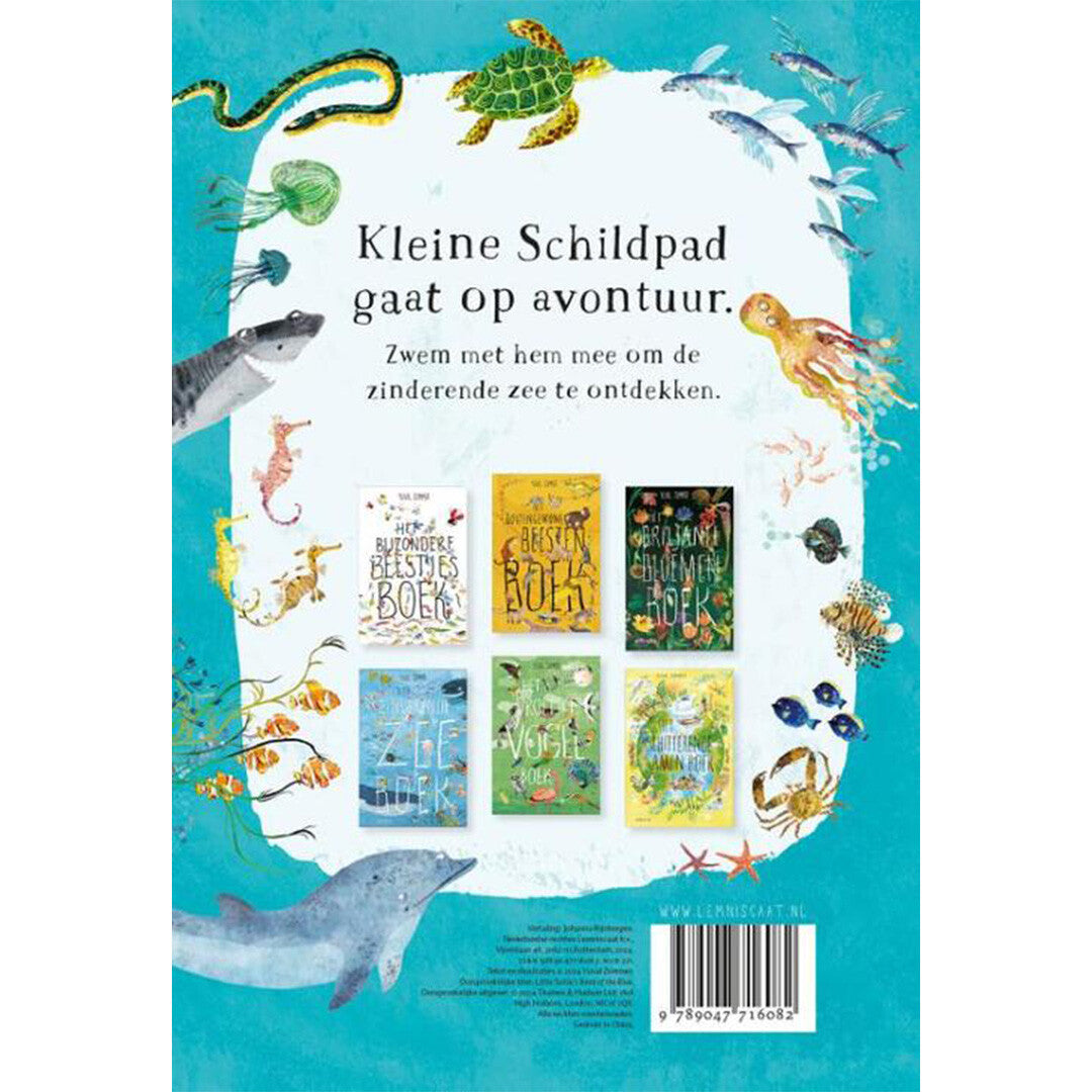 Uitgeverij lemniscaat het zeeboek van kleine schildpad