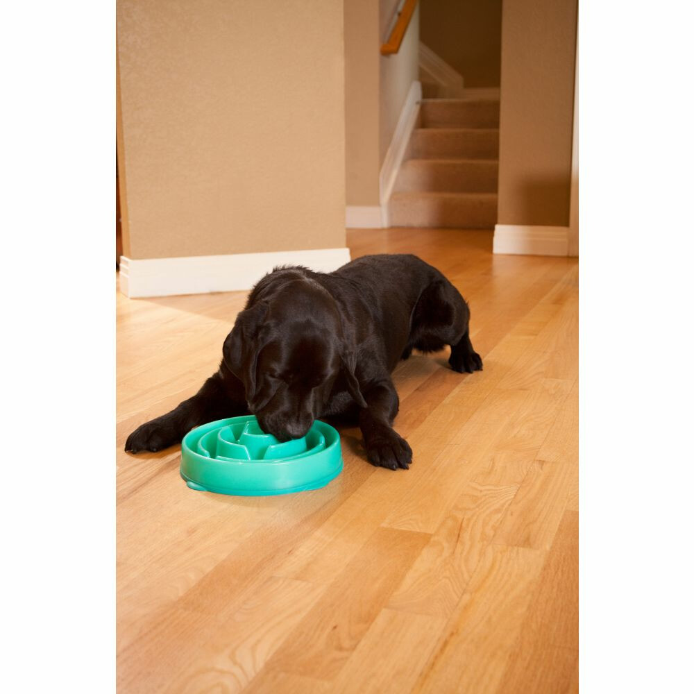 Outward Hound Fun Feeder Drop Large Turquoise29 x 29 x 7 cm