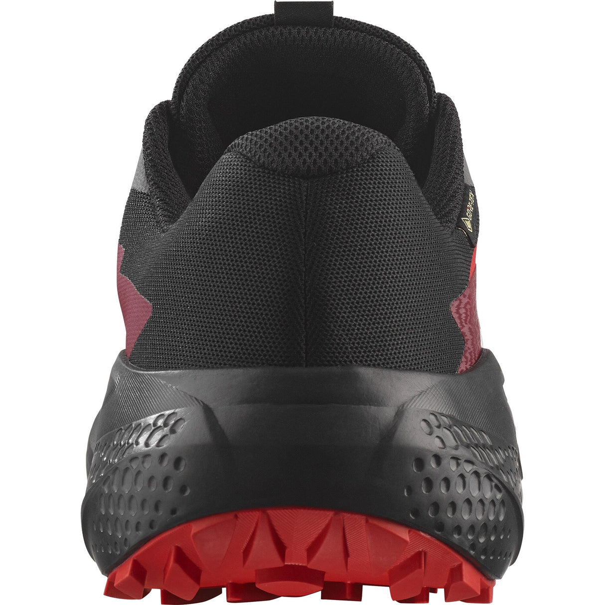Salomon<br>Alphaglide GTX